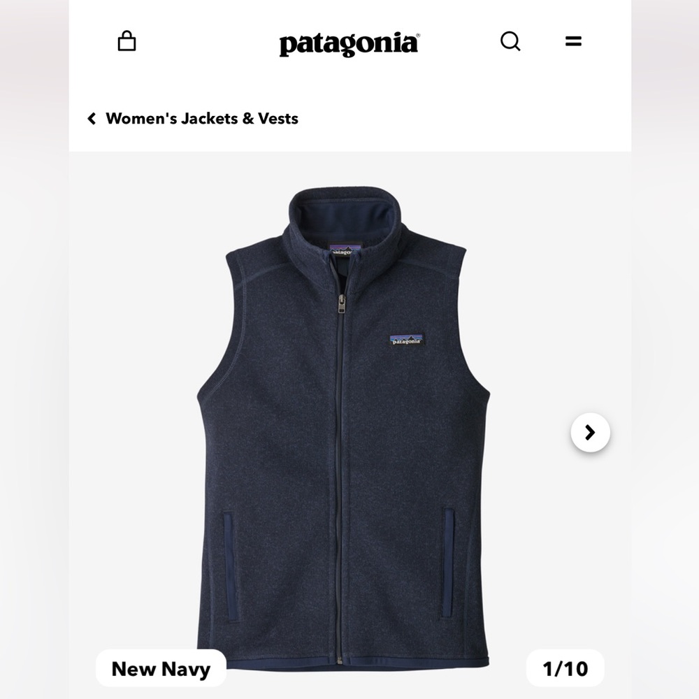 Patagonia’s Better Sweater Fleece vest